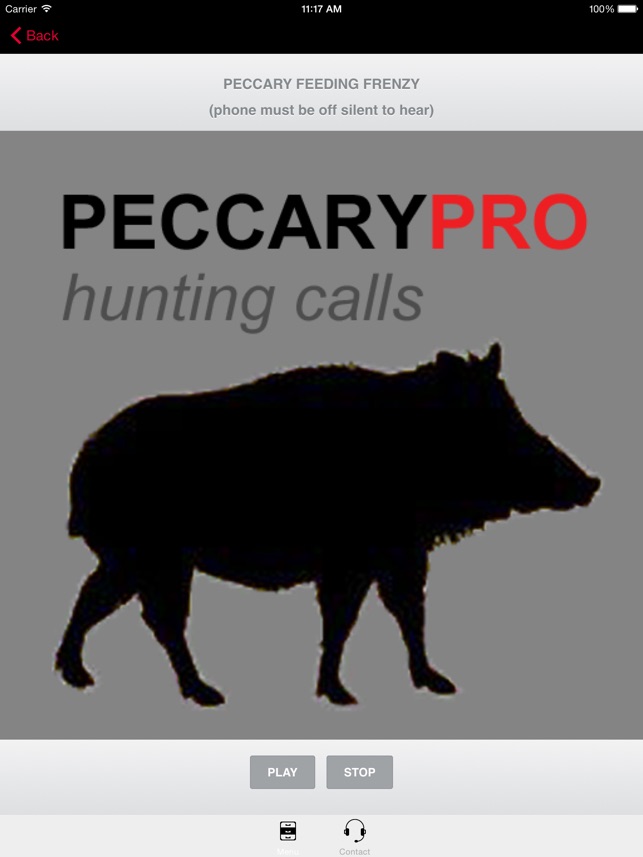 REAL Peccary Calls and Peccary Sounds fo