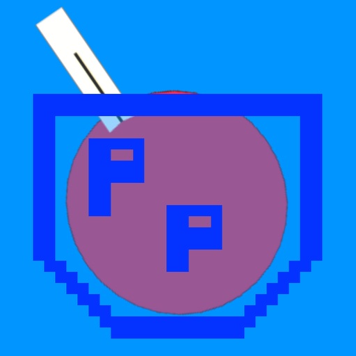 Pocket Pong iOS App