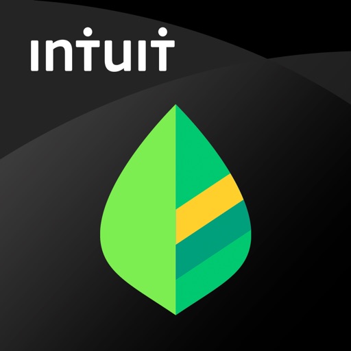 what is intuit mint used for