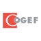 Bienvenue chez COGEF , votre expert-comptable 2