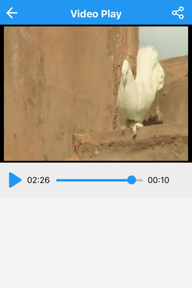 Add Audio to Video - Add New, Remove, Change Music from video screenshot 4