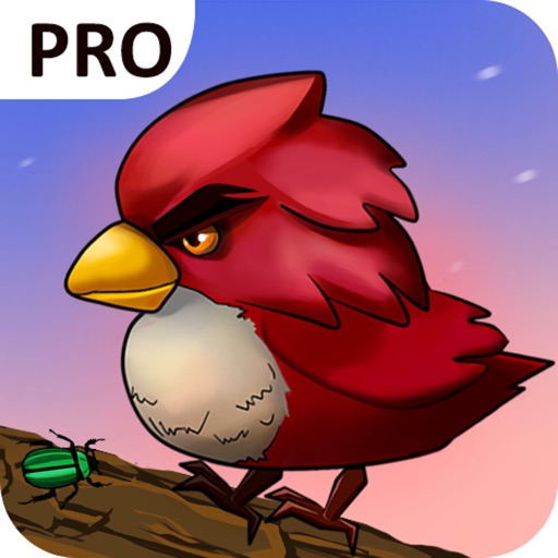 Woodpecker Simulator Pro icon