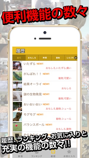 俺のgif 絶対笑えるおもしろgifアニメ画像 Im App Store