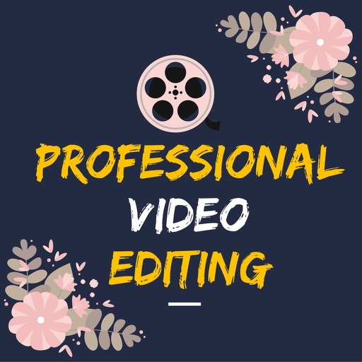 Professional Video Editing