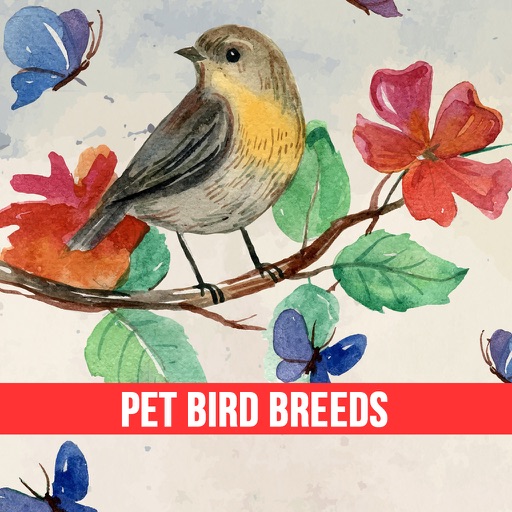 Pet Bird & Breeds - Foreign Birds Icon