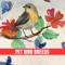 Pet Bird & Breeds - Foreign Birds