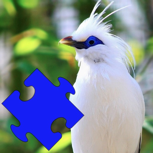 Birds of Paradise Puzzles icon