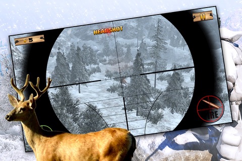 Deer Hunting-Outdoor sports Free screenshot 2