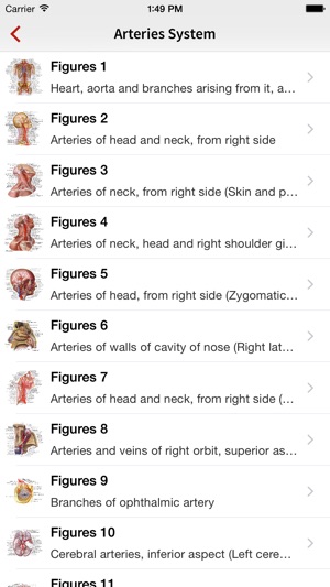 Human Anatomy Position(圖4)-速報App