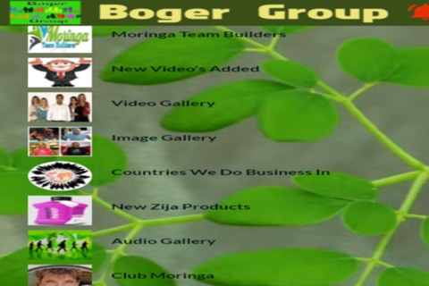 Boger Group screenshot 4