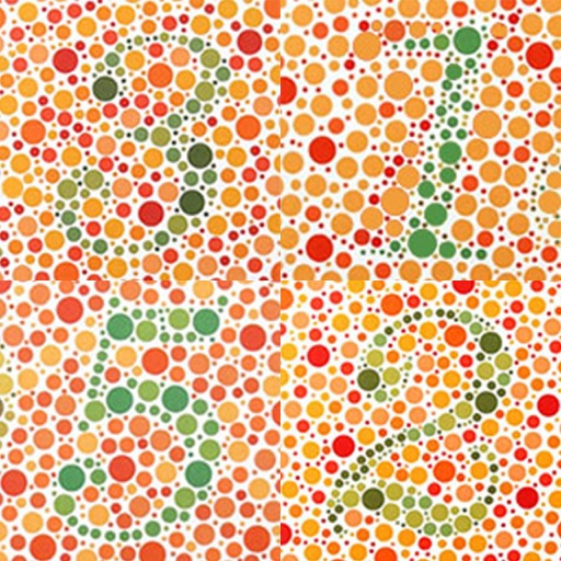 Puzzle Number Pro - Color Blind Number Icon