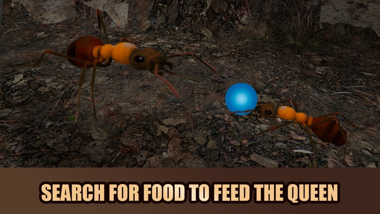 Red Ant Simulator 3D