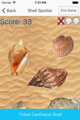 Shell Games screenshot 4