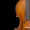 Turn your iPad into an instrument of the violin family and play just like on a real instrument