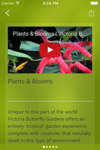 Victoria Butterfly Gardens screenshot 2