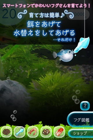 ぼくのフグさん水族館 【無料でかわいい癒し系育成ゲーム】 screenshot 2