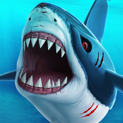 Shark Attack Adventure. Hungry Great White Dash Beach 3D