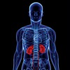 腎臓病101 ：腎臓結石、健康的な食事と慢性腎臓病 - iPhoneアプリ