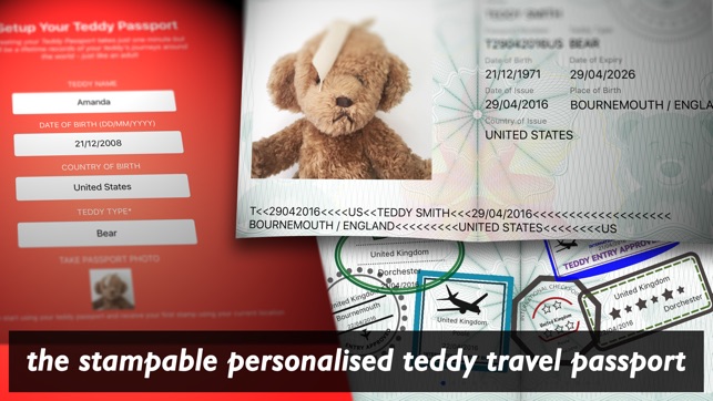 Teddy Bear Passport / Travel Photo Card 