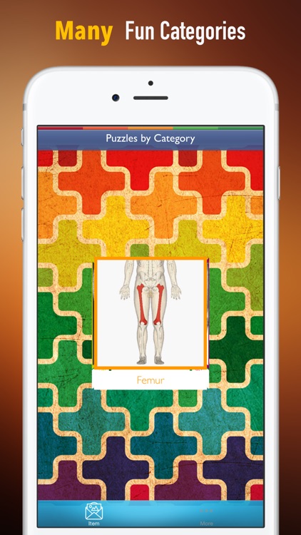 Memorize Human Anatomy Bones by Sliding Tiles Puzzle: Learning Becomes Fun