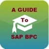 A GUIDE to SAP BPC