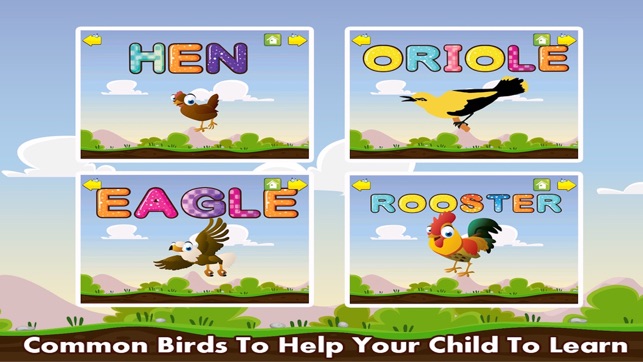 Spell & Learn Birds