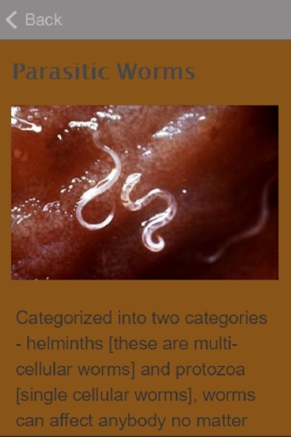 Symptoms Of Worms screenshot 3