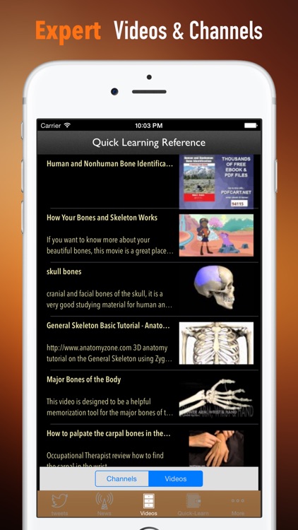 Bone Identification:Human and Nonhuman