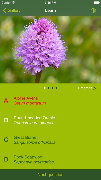 AlpineFlower Finder – a Swiss flower field guide