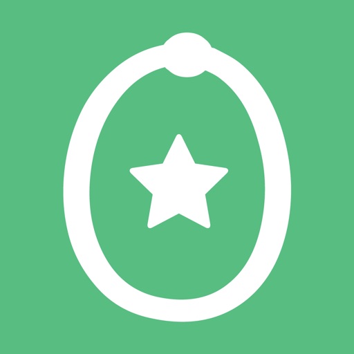 Lasso Real Estate Organizer iOS App