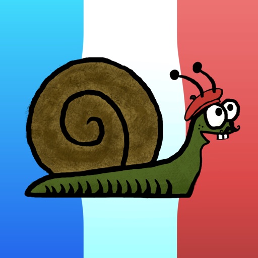 Les Conjugaisons Françaises: The Basics iOS App