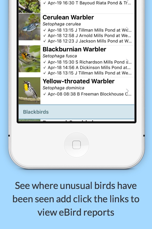 BirdsEye Texas Ornithological Society screenshot 4