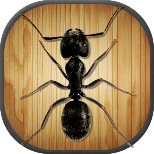 Kids Game: Tap Tap Ants iOS App