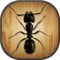 Kids Game: Tap Tap Ants is a game in which you need to crush the ants & fly