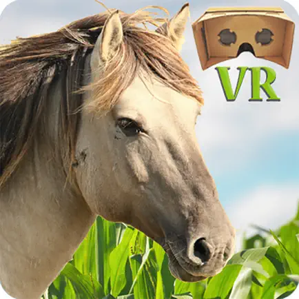 VR Horse Ride Cheats