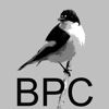 Bird Photography Courses