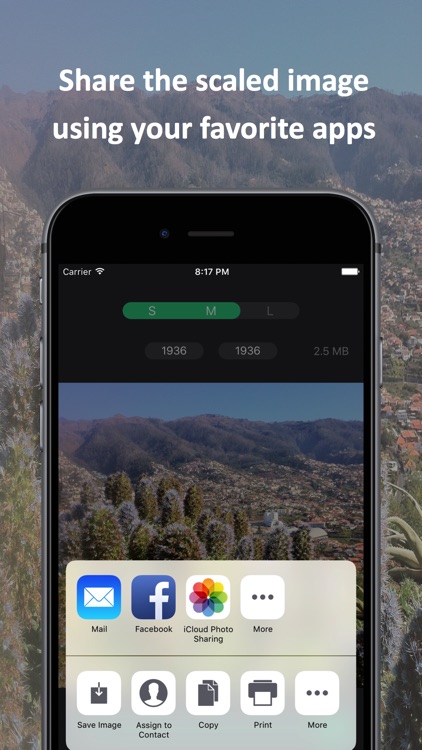 Picture Resizer screenshot-3
