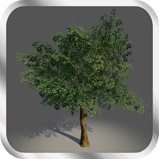 Pro Game - Woodcutter Simulator 2013 Version iOS App