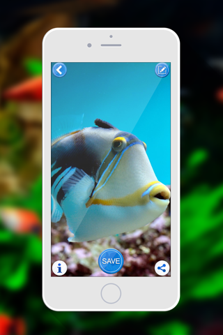 Aquarium Wallpaper – Relax.ing Fish Tank Backgrounds With Beautiful Lock Screen Theme.s screenshot 4