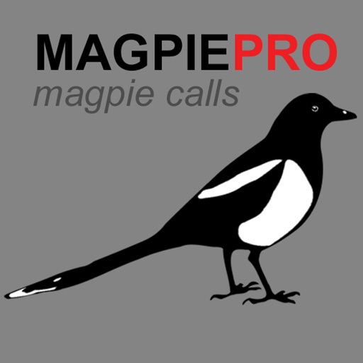 REAL Magpie Hunting Calls - REAL Magpie CALLS & Magpie Sounds! iOS App