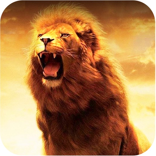 2016 Big Safari Hunting Challenge : Lion Attacking Simulator
