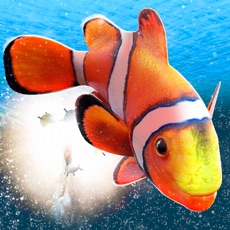 Activities of My Sea Fish Adventure | Free Fish Swimming Game 3D