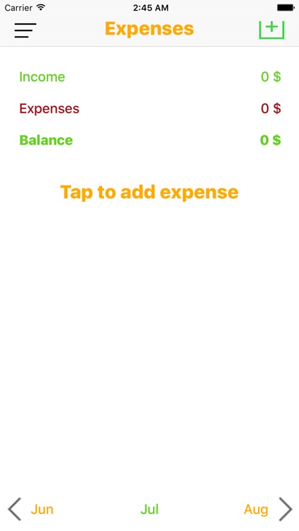 My Income and Expenses