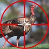 Ultimate Turkey Hunting Calls FREE – Calls for Turkey Hunting