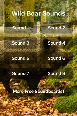 Game screenshot Wild Boar Sounds! mod apk