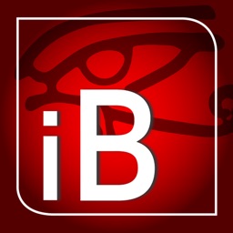 InfoBurst Mobile