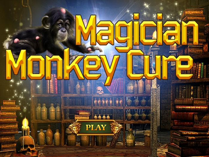 Escape Games Magician Monkey Cure