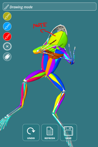 Visual Anatomy - Frog screenshot 2