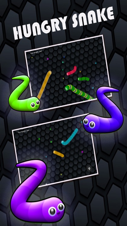 Rolling Snake Hungry Eat Color Dot :Worm Edition Free Game
