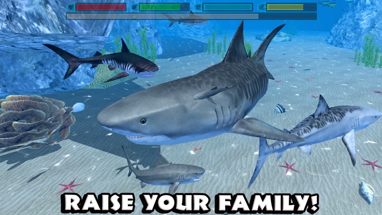 Ultimate Shark Simulator screenshot-4